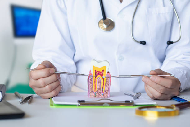 Best Emergency Broken Tooth Repair in Wheeling, WV